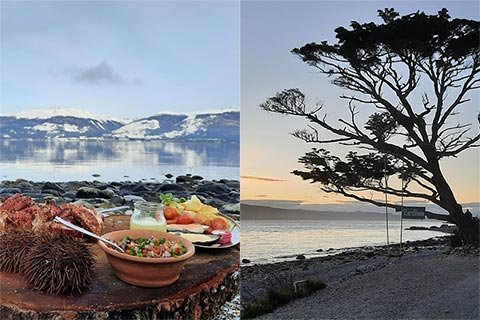puerto almanza comer centolla