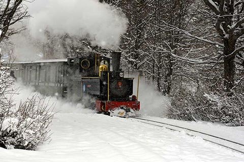 tren del fin del mundo precios