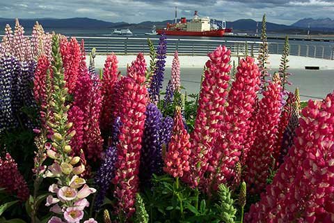 verano ushuaia