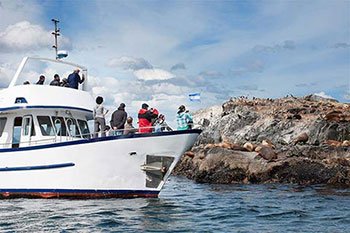 excursões em ushuaia
